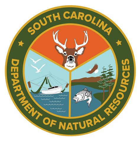 SCDNR/SCORE Modified Wire Reef Fabrication, Scdnr- Marine Resources ...