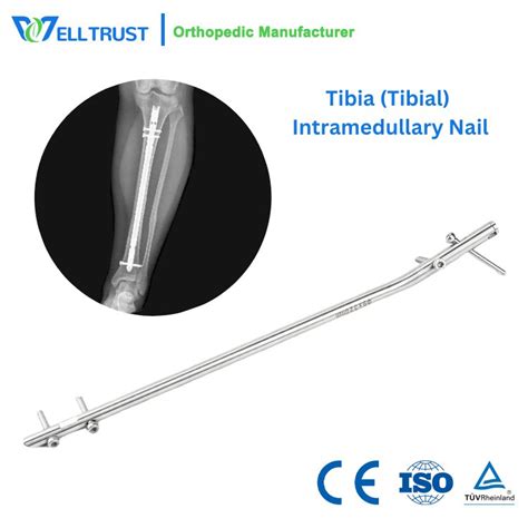 Intramedullary Nail Tibia 的图像结果