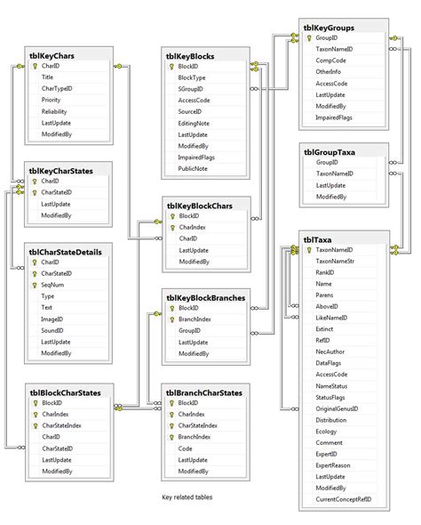 Image result for Database Table Types