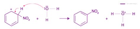 Benzene Electrophilic Substitution: Sulfonation, Nitration and ...