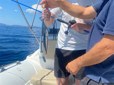 PHOENIX BOAT & FISHING TRIPS - All You Need to Know BEFORE You Go (with ...