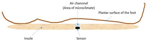 Portable System for Monitoring the Microclimate in the Footwear-Foot ...
