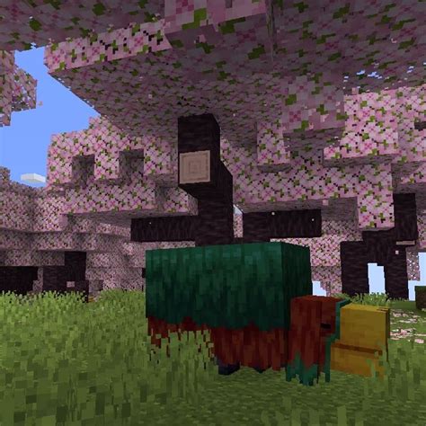 Image result for Cache Cache Minecraft