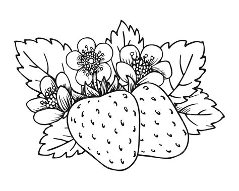 Strawberry Plant Coloring Pages