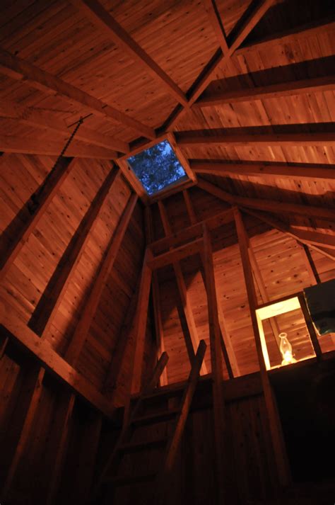 Primitive Humans Building 的图像结果