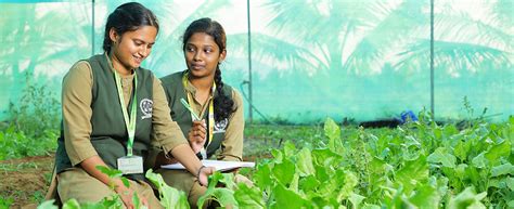 Dhanalakshmi Srinivasan Agriculture College
