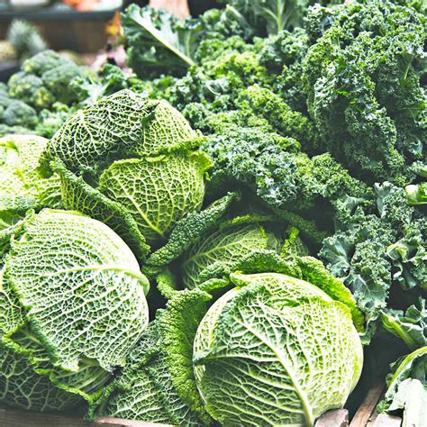 How To Cut Cabbage: 7 Tips - Butter N Thyme