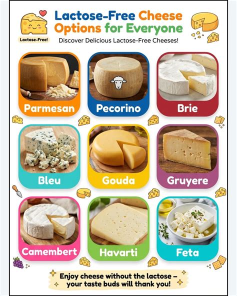 Deliciously - Lactose-free cheese is no longer just a niche option, but ...