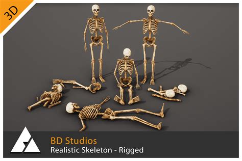 Image result for Unity 2D Skeleton Animation