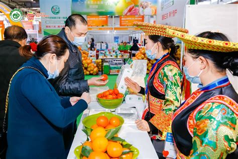 第五届中国（长沙）果品产业博览会今日开幕 - 行业资讯 - 新湖南