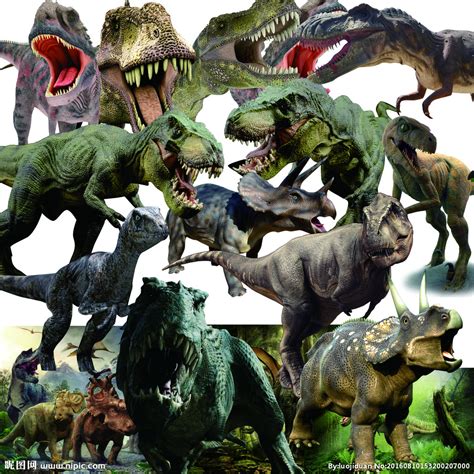 迷惑龙复原图_恐龙图片_恐龙图库恐龙品种图片大全，恐龙复原图高清恐龙图片大图下载