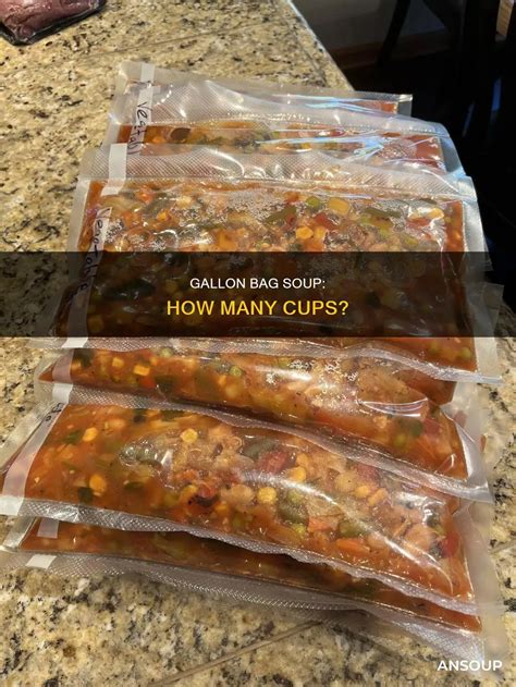 Gallon Bag Soup: How Many Cups? | AnSoup