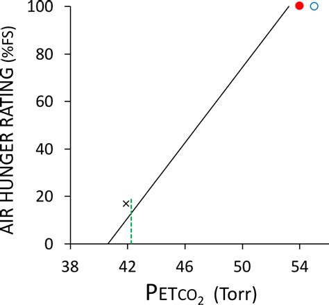 AIR HUNGER: A PRIMAL SENSATION AND A PRIMARY ELEMENT OF DYSPNEA - PMC