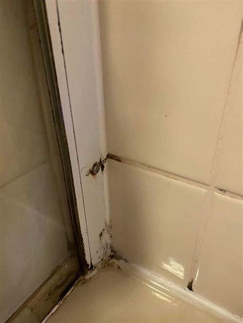 COUNTY LODGE & BRASSERIE (Carnforth, Lancashire, England) - Inn Reviews ...