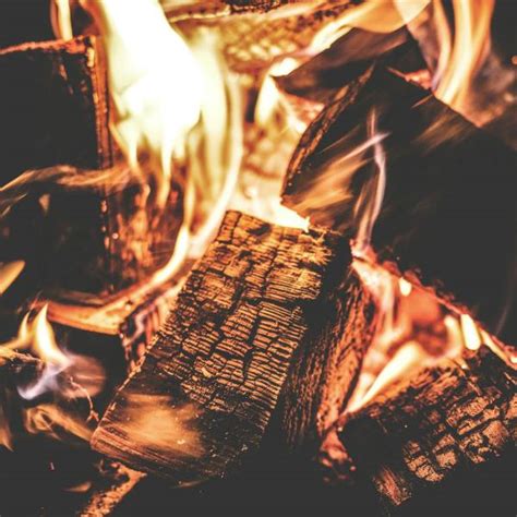 Obituaries stories | Whatcom News