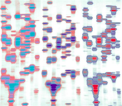 Image result for Matplotlib Python Designs