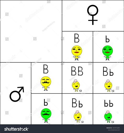 Punnett Square Ptc