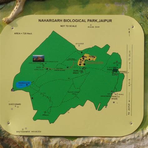 NAHARGARH BIOLOGICAL PARK (2025) All You Need to Know BEFORE You Go ...