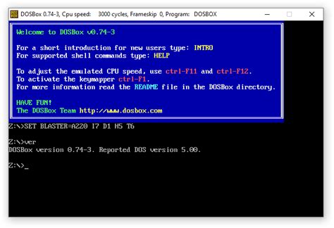 Image result for DOSBox Binary