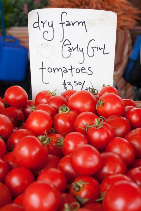 Hold the Phone! Is It Actually OK to Refrigerate Tomatoes? | Kitchn