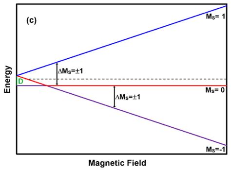 An Introduction to the Electron Paramagnetic Resonance Spectral Library ...