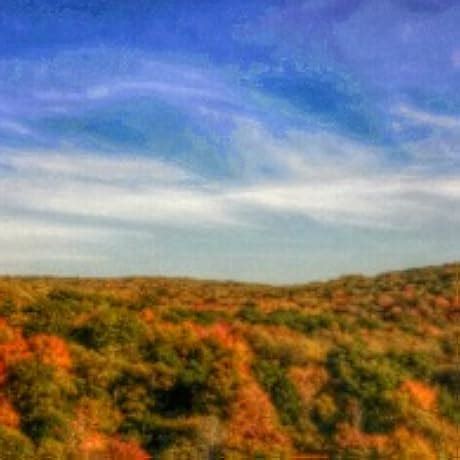 Lifepro Twister Arm Exerciser - Compact & Travel-Friendly Arm, Back ...