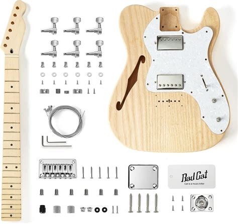 Buy Bad Cat Instruments DIY Electric Guitar Kit TL Thinline Style 6 ...