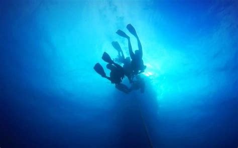 Top 10 Miami Scuba diving 2025 - Klook India