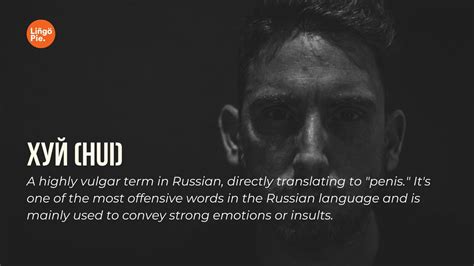 14+ Crazy Russian Swear Words And What They Mean [2025]
