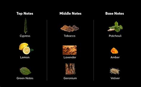 Buy Lunaer Eau De Lune Luxury Oud Perfume For Men & Women, Long-lasting ...