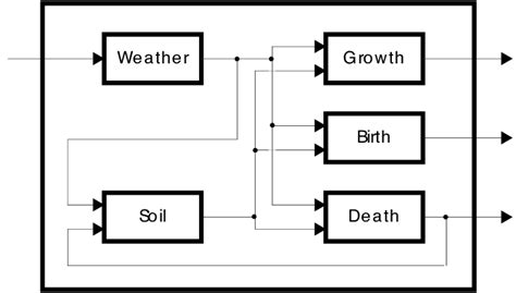Image result for Ecosystem Structure Model