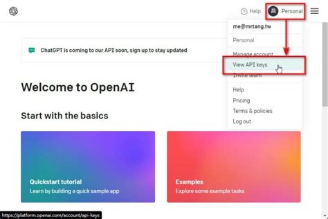 Chat Bot API Key 的图像结果