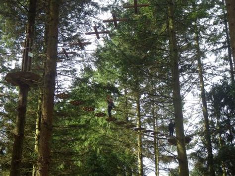 Go Ape Forest of Dean Beechenhurst (Coleford) - 2022 What to Know ...