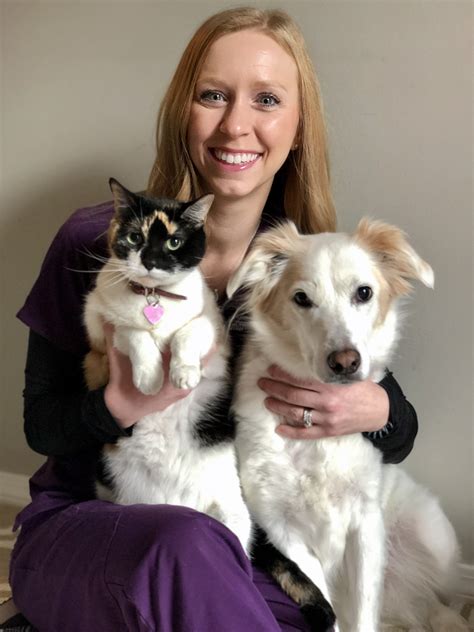 Wrentham Animal Hospital | Wrentham MA Vet