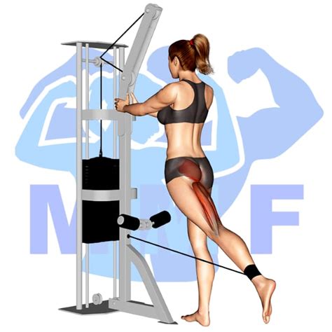 Image result for Cable Kickbacks