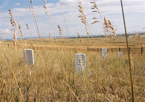 Image result for Custers Last Stand