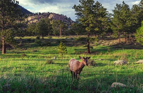4 Terrific Day Hiking Trails by Evergreen - Uncover Colorado