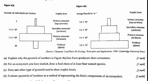 Image result for Ecological Pyramids Worksheet Answer Key