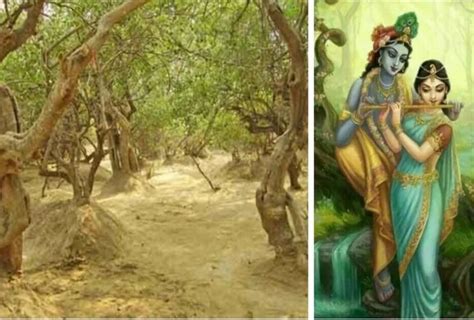 वृंदावन में है ये रहस्यमयी जगह, जिसे रात में देखने से इंसान हो जाता है ...