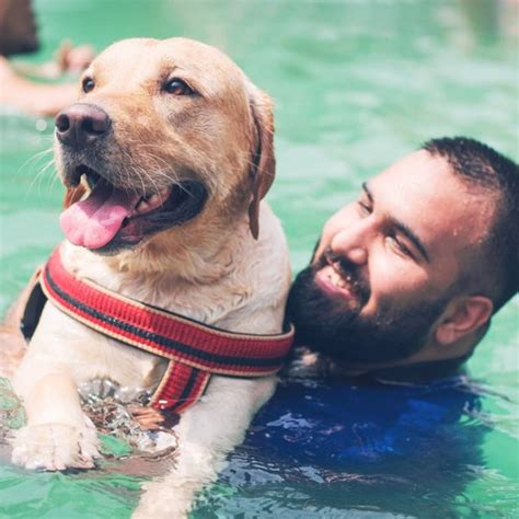 Pool Party For Pets At Tail Club, Gurugram | LBB, Delhi
