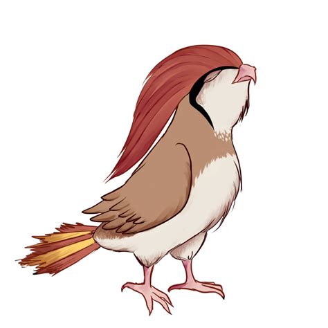 Image result for pidgeotto evolution pixelmon