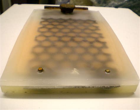 Image result for Wax Rust