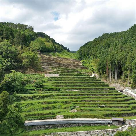 ISHIZUMI RICE TERRACES - All You Need to Know BEFORE You Go 2026 (with ...