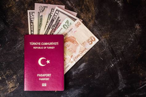 土耳其护照有哪些突出优势？_美国的