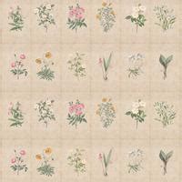 H902712 Mehek, Botanical Rendition Room Wallpaper Sukoon Series Canvas ...