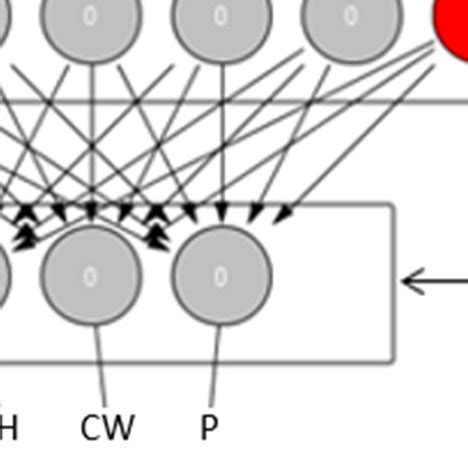 Image result for Flowchart of Nelder-Mead Algorithm