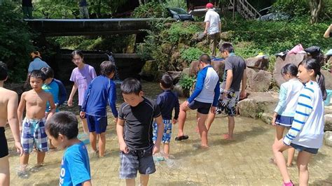 MUGI YATAKI WOODY LAND (2026) All You Need to Know BEFORE You Go (w ...