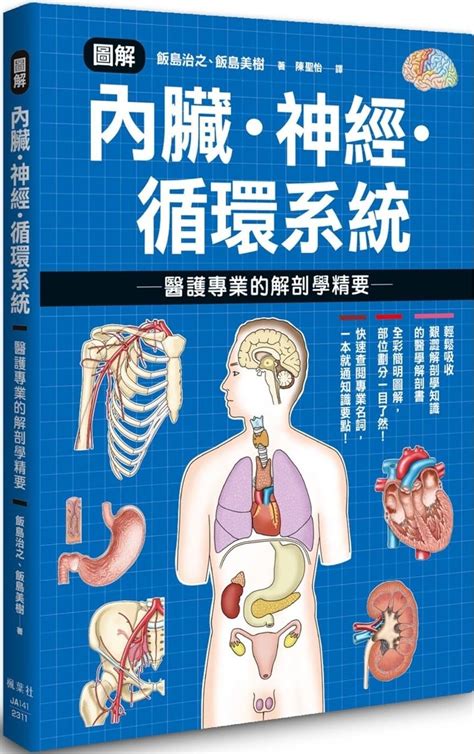 Buy Illustration of Viscera, Nerves, Circulatory System - Essentials of ...