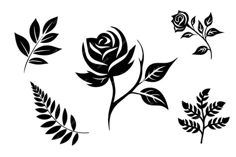 Premium Vector | Set of black silhouettes of roses and leaves Vector illustration