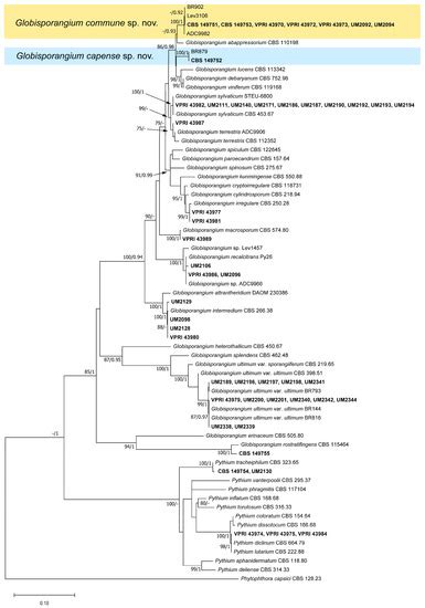 Plants | Special Issue : Diseases of Horticultural Crops and Their ...